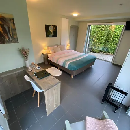 Puffins Bed & Travel * Knokke-Heist