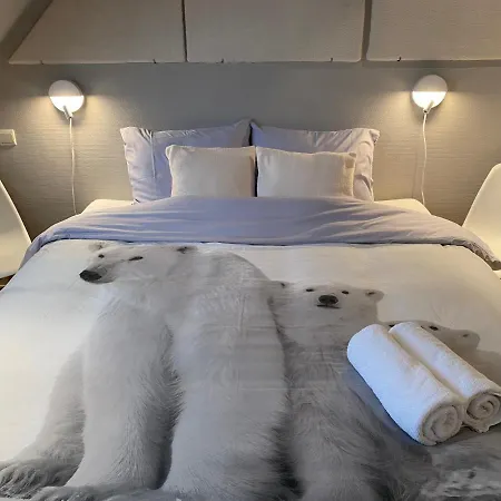 Bed & Breakfast Puffins Bed & Travel *